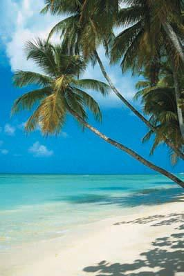 discount vacation tropical beach WDWVacationPlanning